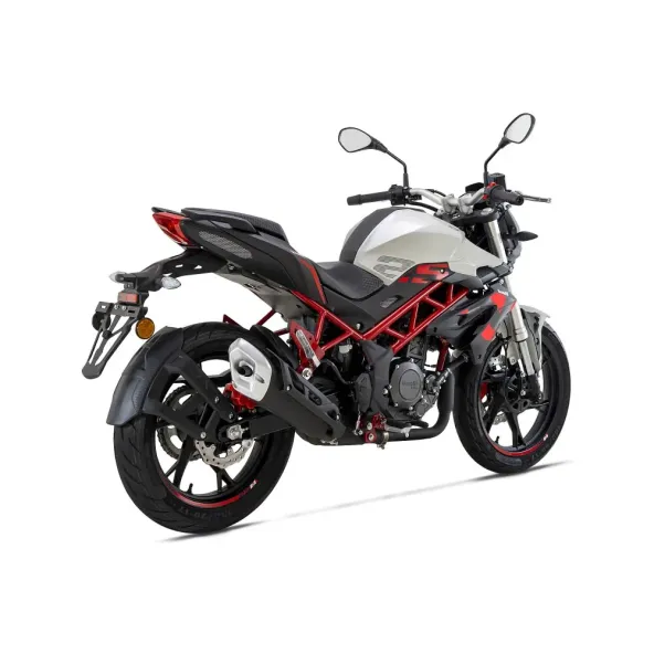 Benelli TNT 25N