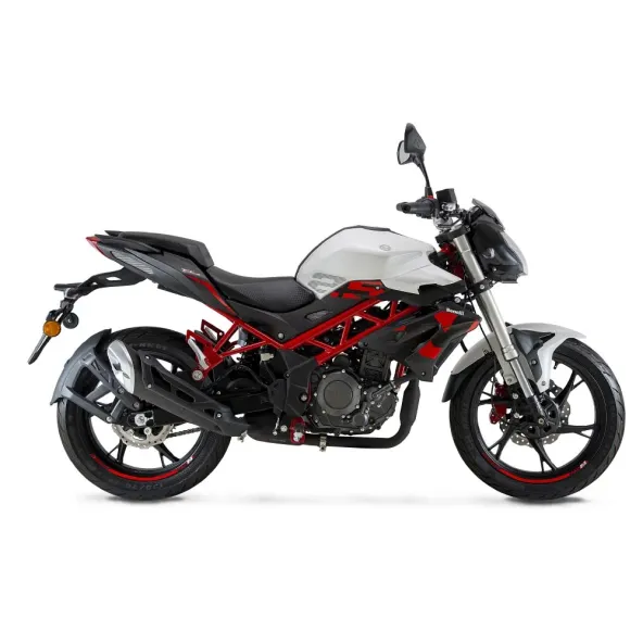 Benelli TNT 25N